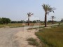 Etihad Farm Houses
