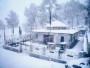 Paradise Continental Huts & Plots