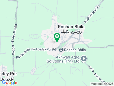 60 Acre (480 Kanal) Agricultural Land For Sale Roshan Bhila Kasur.