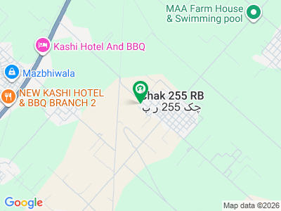 Prime Agricultural Land For Sale In Faisalabad Chak 255 R. B. (Bogan)