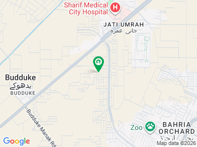 Jati Umra Road Plot for Sale 45 Kanal