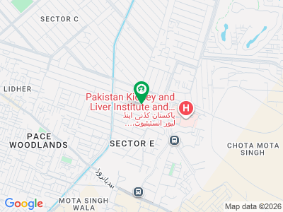 E BLOCK NEAR TO THIS GOOD LOCATION PLOT FOR SALE