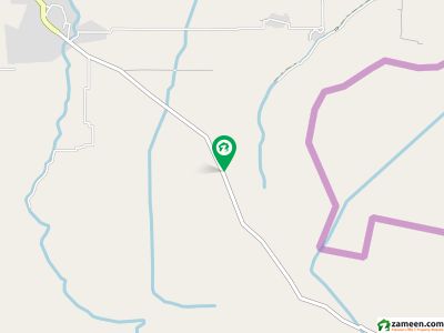 Z4-149@83 DHA Phase-8 IVY Green