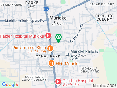 28 Acre Agriculture Land For Sale In Narang Mandi