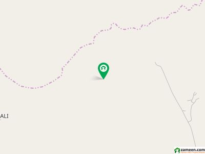 ڈی