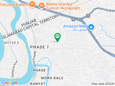 Commercial Shop For Sale In Bahria Town Walayat Complex