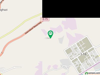 زمر