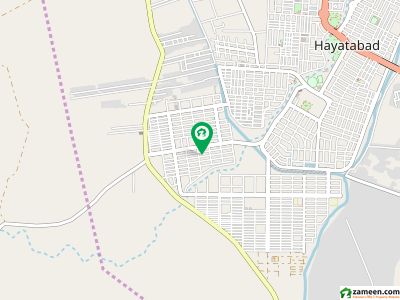 حیات