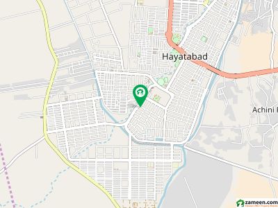 حیات