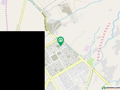 ریگی