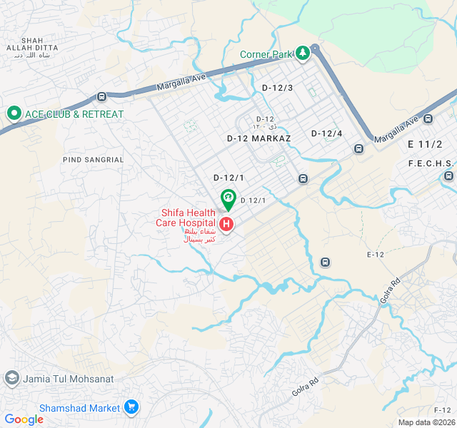 SUN FACING 10 MARLA HOUSE IN D-12/1