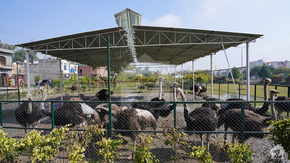 SA Gardens SA Gardens Lahore