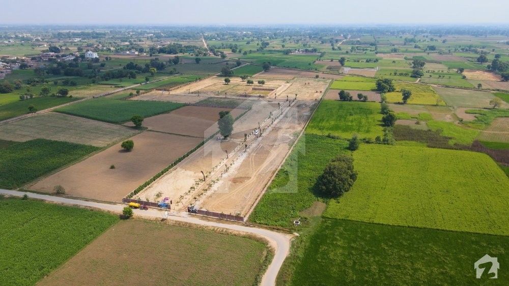 Bedian Oasis