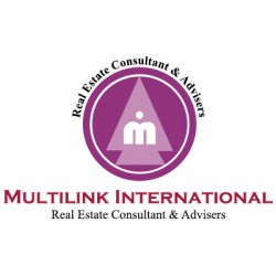 Multilink International