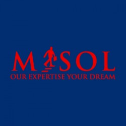 M-Sol Real Estate Builders & Firms