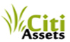 Citi Consultants