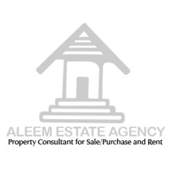 Aleem Estate Agency