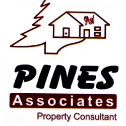 Pines Associates