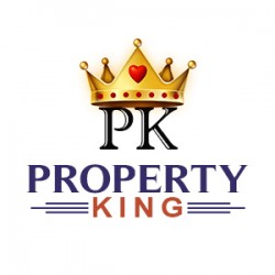 Property King