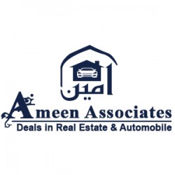 Ameen Associates