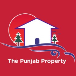 The Punjab Property