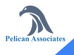 Pelican Associates