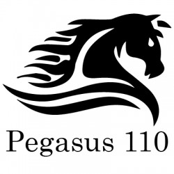 Pegasus110 (Pvt.) Ltd.